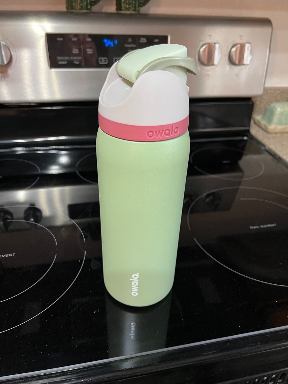 Owala Green & Mauve Insulated Stainless Water Bottle